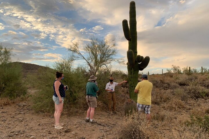 Sonoran Desert Jeep Tour - Photo 1 of 12